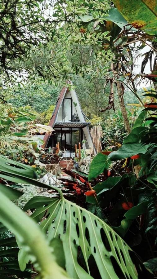 Glamping Salento Con Jacuzzi Climatizado Hotel Exterior foto